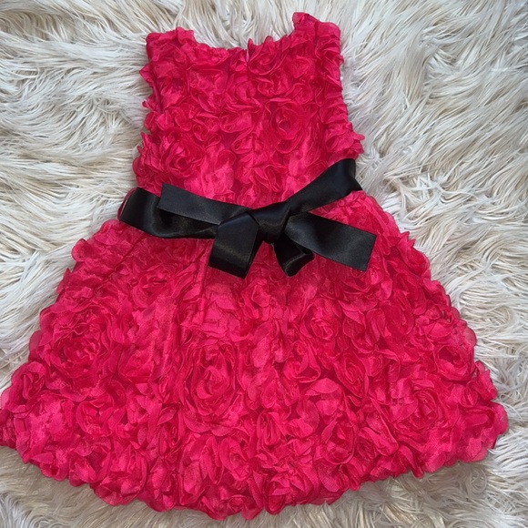 Hot pink girls dress size 2t - Picture 3 of 5